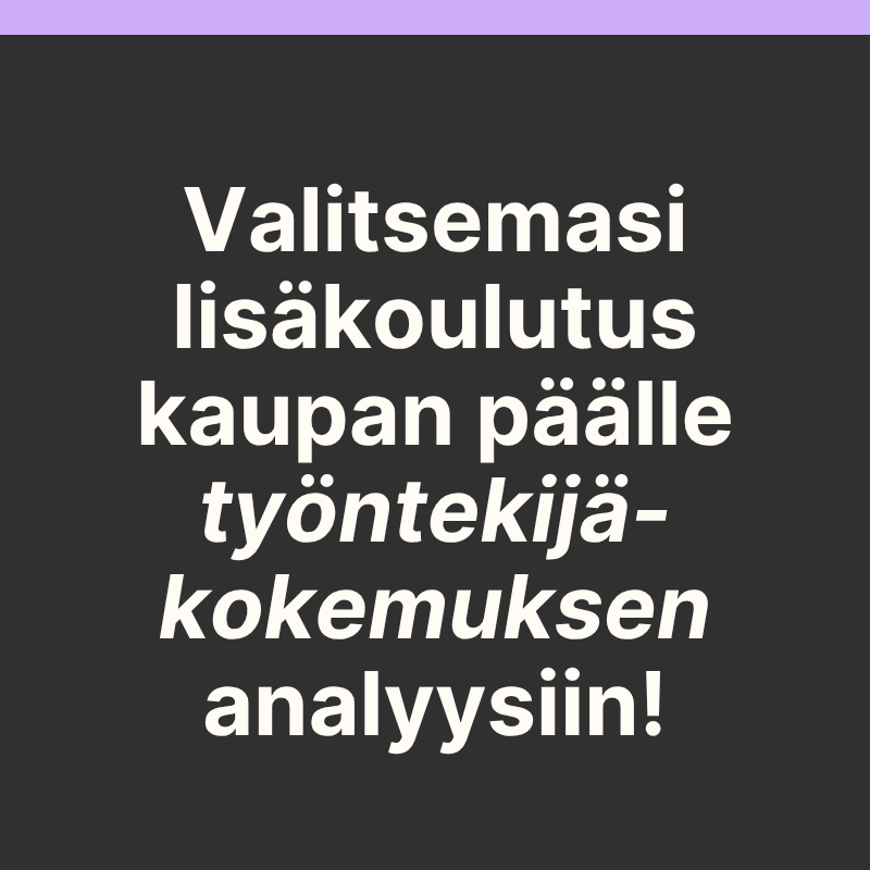 EX-selvitys-kesäetu