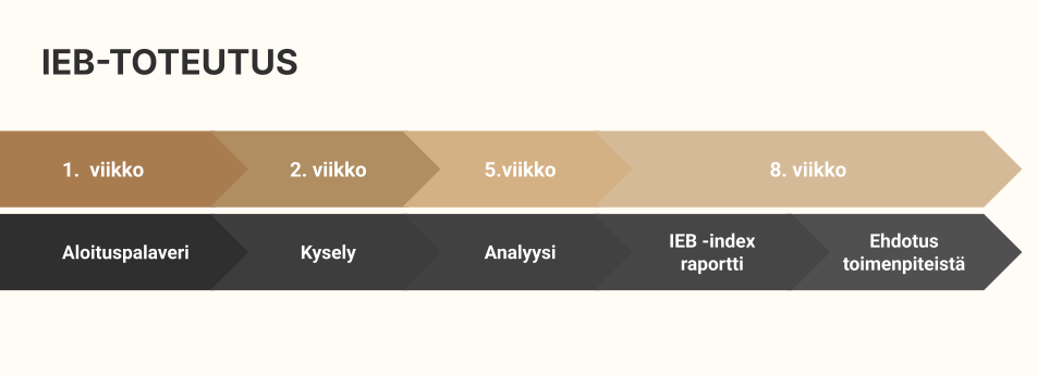 IEB toteutus-1