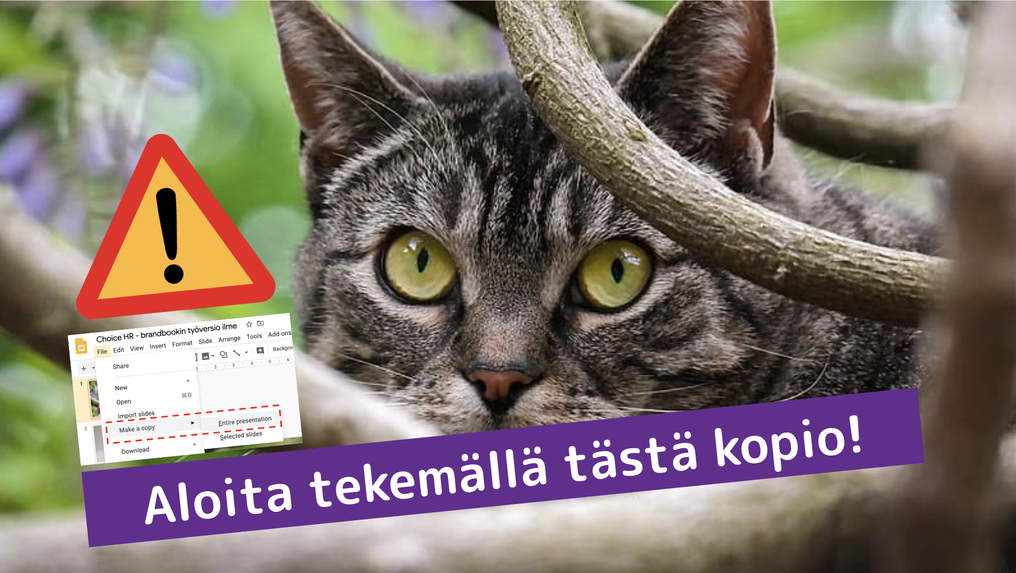 Choice HR Oy - ensimmäinen ilme