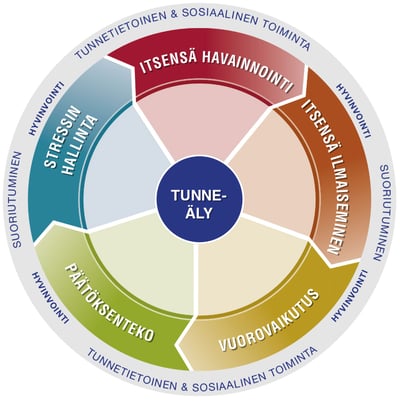 Tunneälyn malli EQ-i 2.0.