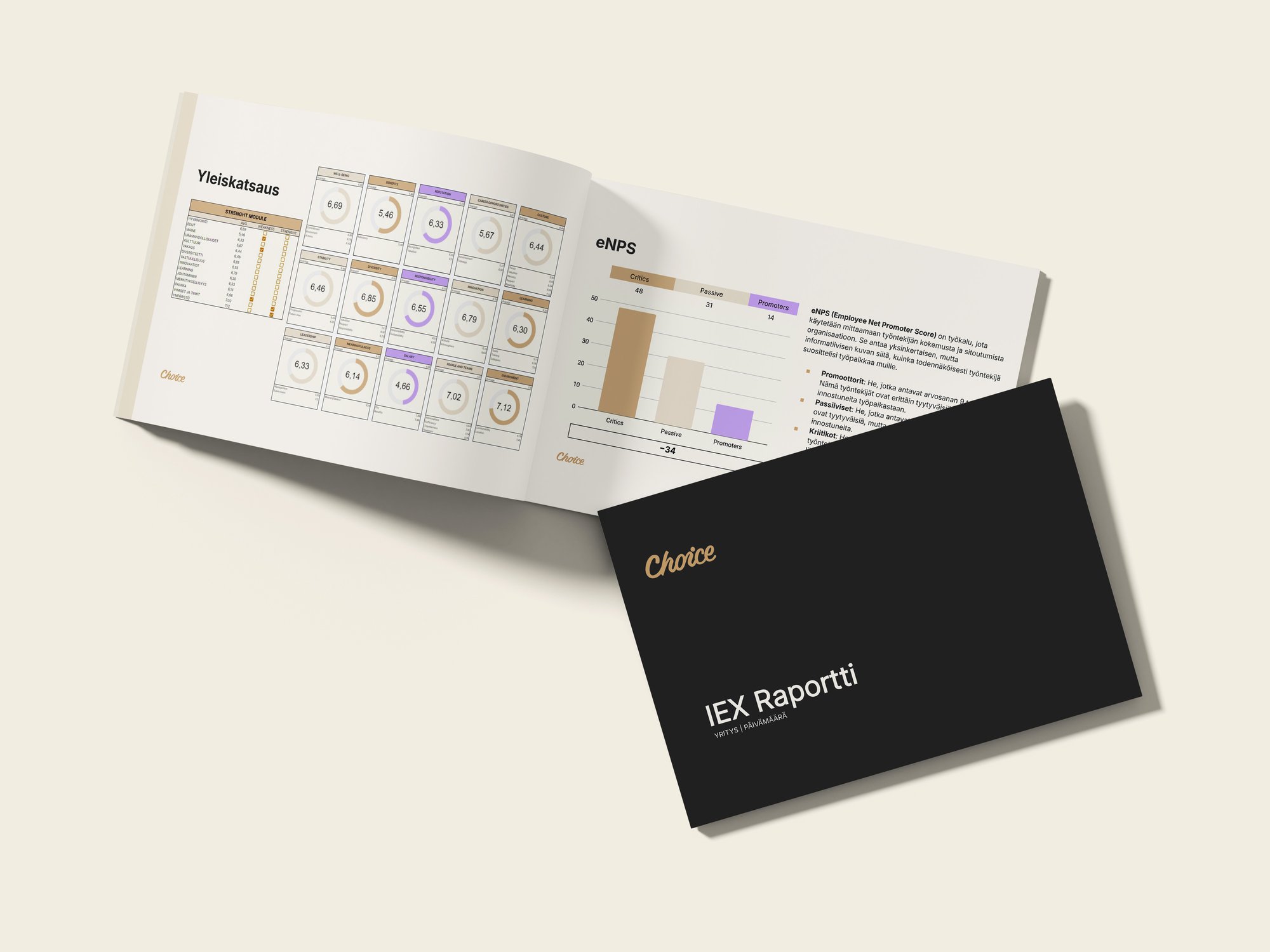 choice-iex-raportti-beigebg